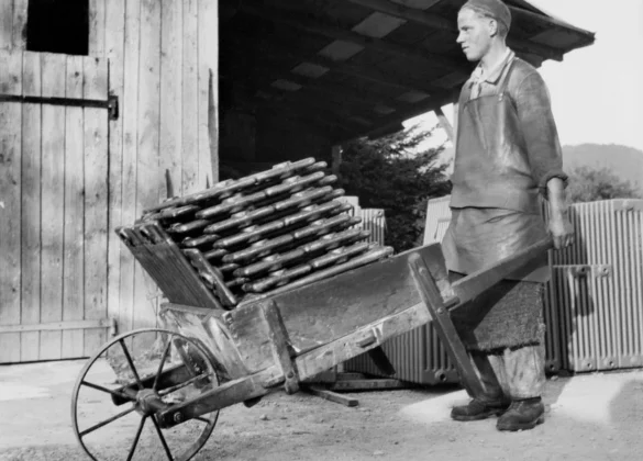 Zehnder_RAD_Charleston_wheelbarrow_Office_26612-1